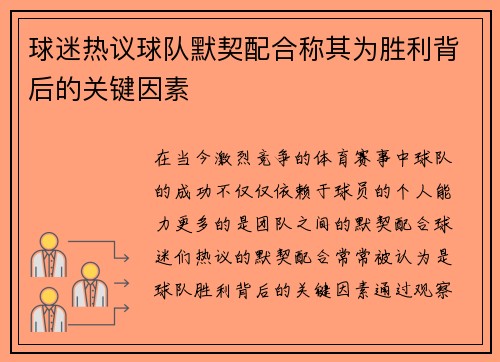 球迷热议球队默契配合称其为胜利背后的关键因素